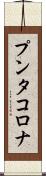 プンタ・コロナ Scroll