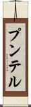 プンテル Scroll