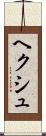 ヘクシュ Scroll