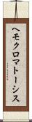 ヘモクロマトーシス Scroll