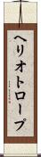 ヘリオトロープ Scroll