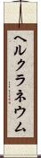 ヘルクラネウム Scroll