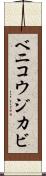 ベニコウジカビ Scroll