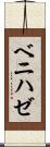 ベニハゼ Scroll