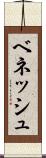 ベネッシュ Scroll