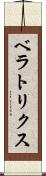 ベラトリクス Scroll