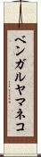 ベンガルヤマネコ Scroll