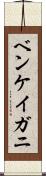 ベンケイガニ Scroll