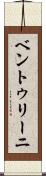 ベントゥリーニ Scroll