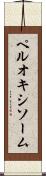 ペルオキシソーム Scroll