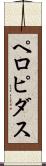 ペロピダス Scroll