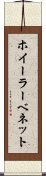ホイーラーベネット Scroll