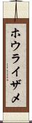 ホウライザメ Scroll