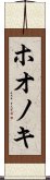 ホオノキ Scroll