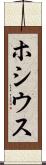 ホシウス Scroll