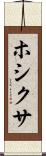 ホシクサ Scroll