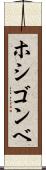 ホシゴンベ Scroll