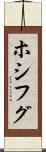 ホシフグ Scroll