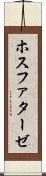 ホスファターゼ Scroll