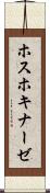 ホスホキナーゼ Scroll