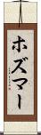 ホズマー Scroll
