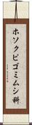 ホソクビゴミムシ科 Scroll