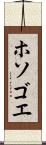 ホソゴエ Scroll