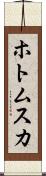 ホトムスカ Scroll