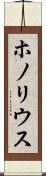 ホノリウス Scroll