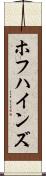 ホフハインズ Scroll