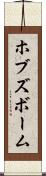 ホブズボーム Scroll