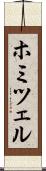 ホミツェル Scroll
