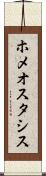 ホメオスタシス Scroll