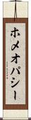 ホメオパシー Scroll