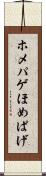 ホメパゲ Scroll