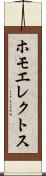 ホモエレクトス Scroll