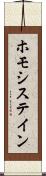 ホモシステイン Scroll