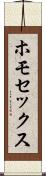 ホモセックス Scroll