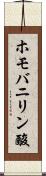 ホモバニリン酸 Scroll
