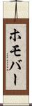 ホモバー Scroll