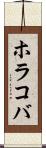 ホラコバ Scroll