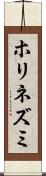 ホリネズミ Scroll
