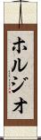 ホルジオ Scroll