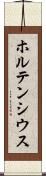 ホルテンシウス Scroll