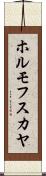 ホルモフスカヤ Scroll