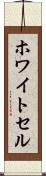 ホワイトセル Scroll