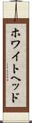 ホワイトヘッド Scroll
