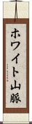 ホワイト山脈 Scroll