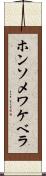 ホンソメワケベラ Scroll