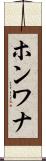 ホンワナ Scroll